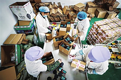 閩寧禾美電商扶貧車間的女員工在包裝枸杞。資料圖片