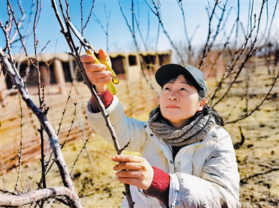 <p>　　人物檔案</p><br/><p>　　丁學(xué)林，同心縣鄉(xiāng)村振興局副局長</p><br/><p>　　2016年，我參與到閩寧協(xié)作工作中，通過這幾年同心縣的發(fā)展變化，真正感受到了“閩寧一家親”不只是一句口號，而是一份真正的手足情。</p><br/><p>　　2021年是莆田市對口幫扶同心縣的第一年，莆田援寧干部全身心投入真抓實干，全面或超額完成兩省區(qū)確定的10項目標任務(wù)。</p><br/><p>　　今年，我們將鞏固拓展脫貧攻堅成果同鄉(xiāng)村振興有效銜接，在提升產(chǎn)業(yè)水平上持續(xù)發(fā)力，用好閩寧對口協(xié)作平臺，立足同心資源稟賦，圍繞“8+1”重點產(chǎn)業(yè)，持續(xù)在建鏈強鏈上下功夫。在深化勞務(wù)協(xié)作上行穩(wěn)致遠，拓寬就業(yè)渠道，積極開展就業(yè)培訓(xùn)，提高培訓(xùn)針對性、實用性，切實提升就業(yè)率。堅持優(yōu)勢互補，著重在產(chǎn)業(yè)發(fā)展、勞務(wù)協(xié)作、消費幫扶、醫(yī)療教育等方面加強協(xié)作。脫貧摘帽不是終點，而是新生活、新奮斗的起點。閩寧之手，只會愈握愈緊！相信隨著協(xié)作方式的升級，“山海情”一定會有更加精彩的續(xù)集！</p><br/><p>　?。ū緢笥浾摺●R忠　文/圖）</p><br/><p>　　人物檔案</p><br/><p>　　鄭開煌，寧夏閩強塑業(yè)有限公司負責(zé)人</p><br/><p>　　又到春暖花開時，春耕陸續(xù)開始，隆德縣的玉米、土豆和冷涼蔬菜種植都急需薄膜。目前，公司的10臺機器全部運轉(zhuǎn)，每天生產(chǎn)20噸薄膜。</p><br/><p>　　2016年，我來到隆德縣工業(yè)園區(qū)投資創(chuàng)業(yè)，得益于閩寧協(xié)作、得益于寧夏經(jīng)濟社會的蓬勃發(fā)展，讓我能夠在這片土地上闖出一片屬于自己的天地。當初選擇來隆德，既是響應(yīng)閩寧協(xié)作的號召，也想著把產(chǎn)業(yè)落戶到隆德，把技術(shù)帶給隆德百姓。經(jīng)過6年的發(fā)展，現(xiàn)在公司每個崗位的骨干都是隆德人，公司已經(jīng)徹底融入隆德的經(jīng)濟發(fā)展中。目前公司招聘了當?shù)?2名工人，工人每月工資都在5000元以上。我熱愛這片土地，寧夏就是我的第二故鄉(xiāng)，我的家人都已定居隆德，3個孩子也在這里上學(xué)。</p><br/><p>　　作為一名閩寧協(xié)作企業(yè)負責(zé)人，促進兩地協(xié)作、助力鄉(xiāng)村振興是我不變的初心，希望更多的福建企業(yè)家來到寧夏這片熱土投資創(chuàng)業(yè)。</p><br/><p>　?。ū緢笥浾摺●R忠　文/圖）</p><br/><p>　　人物檔案</p><br/><p>　　陳振能（左），彭陽縣委常委、副縣長（掛職）</p><br/><p>　　2021年7月，組織安排我到彭陽縣掛職工作，讓我有幸成為閩寧協(xié)作的一員，能夠在新發(fā)展階段推動閩寧協(xié)作