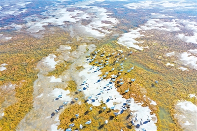 <p>　　鹽池縣花馬湖濕地的天鵝?！D片由自治區(qū)林草局提供</p>
