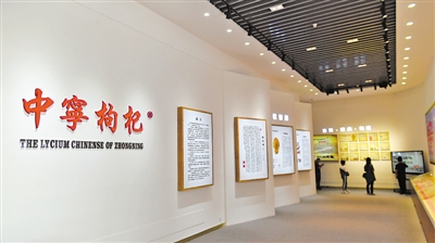 <p>　　寧夏大學枸杞職業(yè)技術繼續(xù)教育學院枸杞文化長廊展示枸杞歷史文化。依托院校資源，中寧縣大力培養(yǎng)枸杞苗木繁育、電子商務、冷鏈倉儲、科技推廣等方面的專業(yè)技術人才?！　　　　　　　　　　　　　　　　　　　　　　　　　　　　　　　　　　　　　　　　　　　　　”緢笥浾摺⊥醵Αz</p>
