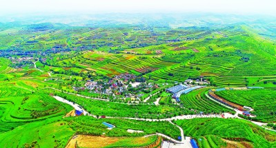 西海固：蓄足動能再出發(fā)——來自寧夏脫貧鄉(xiāng)村的調(diào)研