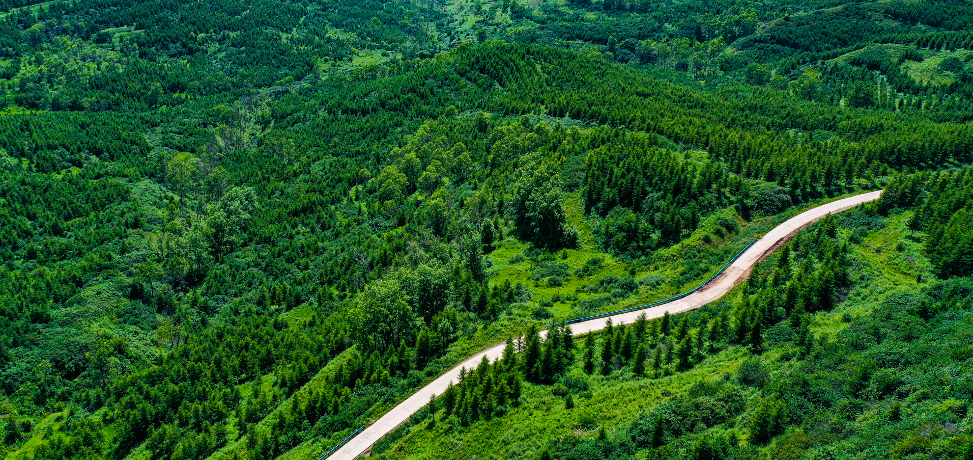 DJI_0817(1).png