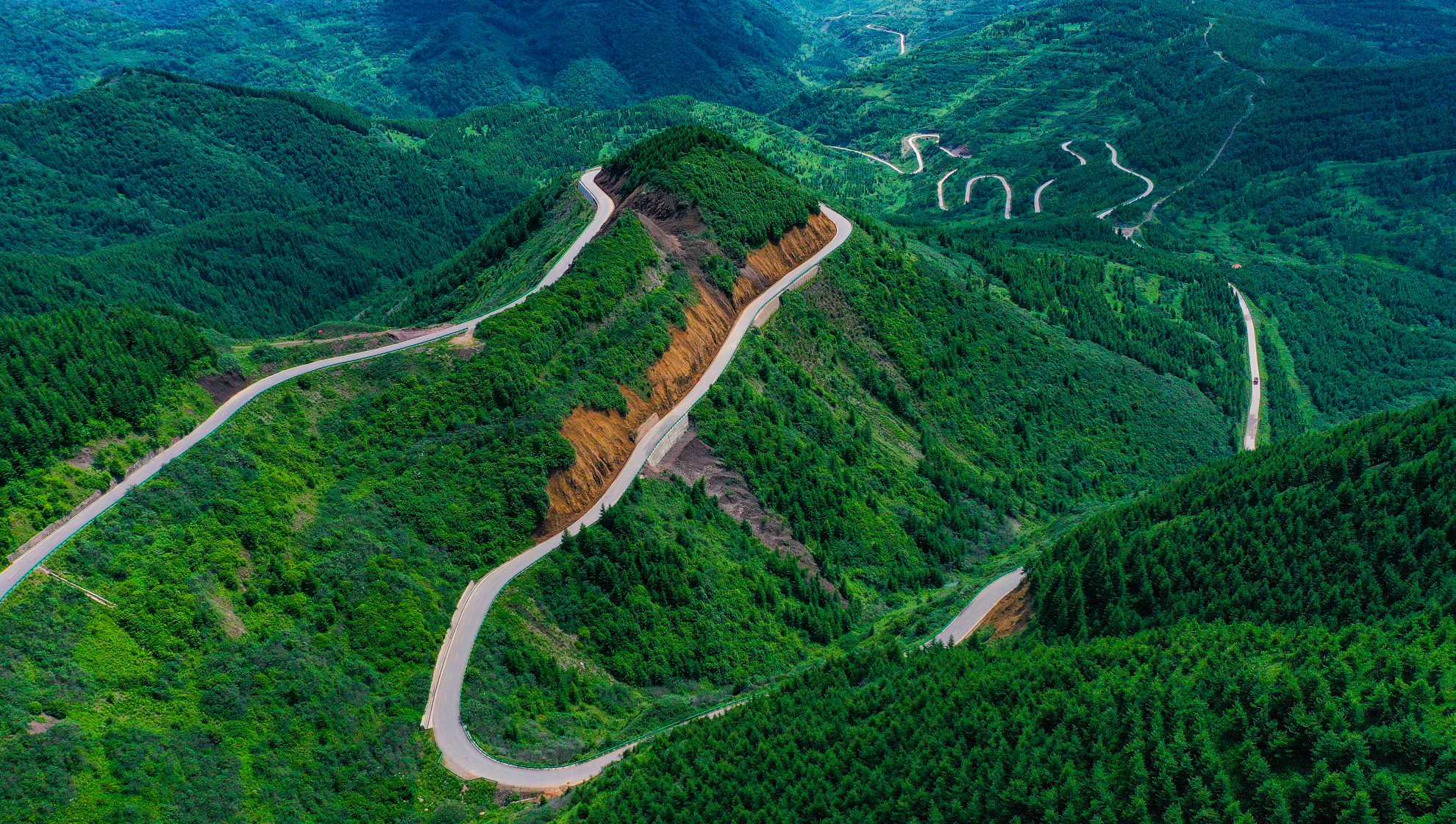 DJI_0781.png