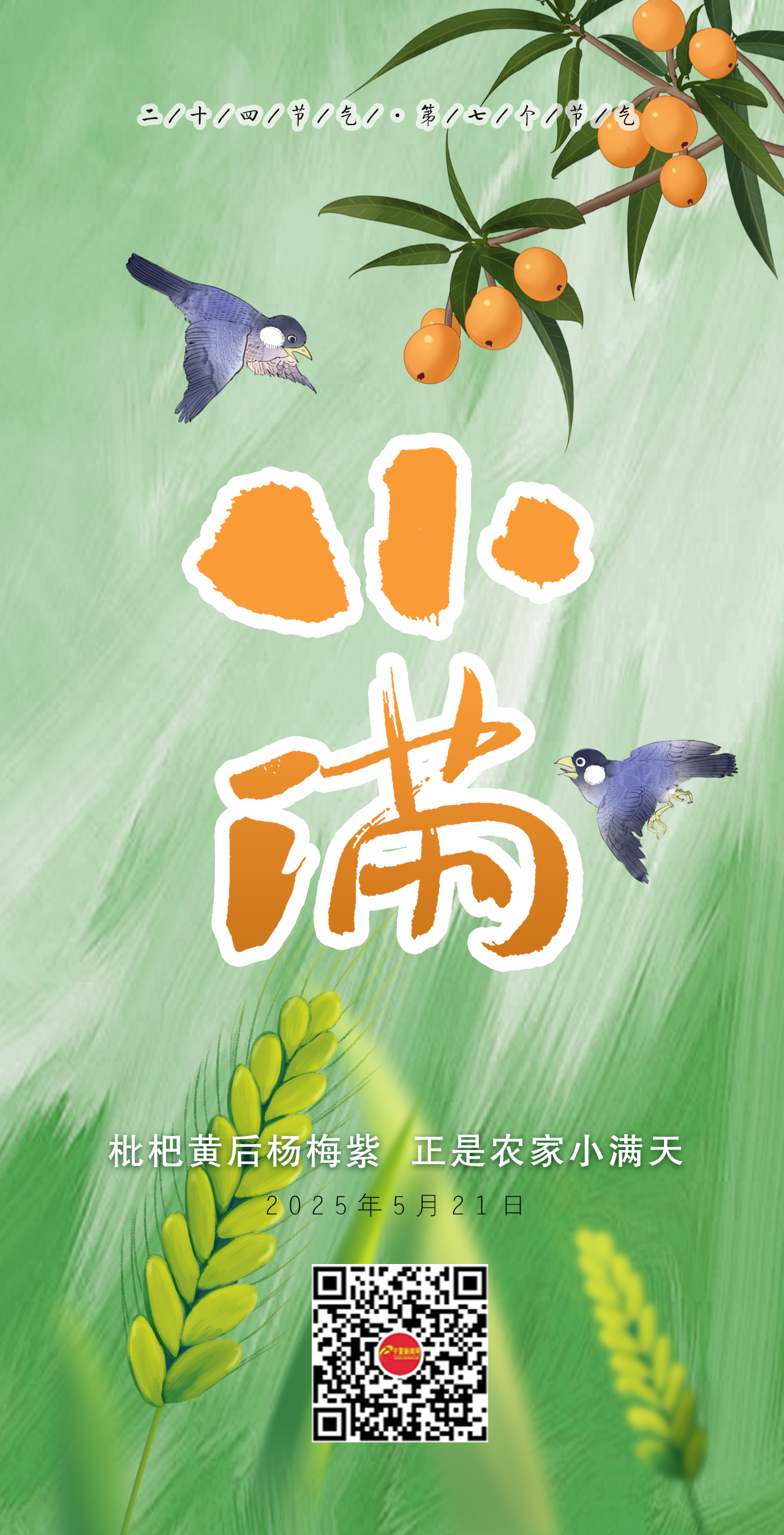 小滿2025.jpg