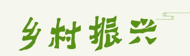 農業(yè)科技志愿下鄉(xiāng)服務破解農戶種植技術難題