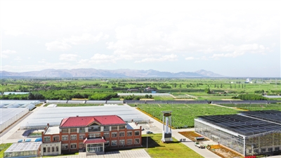 <p>　　寧夏泰金種業(yè)有限公司制種基地。（本版圖片均平羅縣委宣傳部提供）</p>