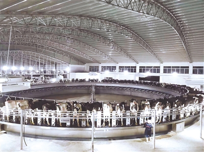 <p>　　平羅縣紅崖子奶牛養(yǎng)殖基地。</p>