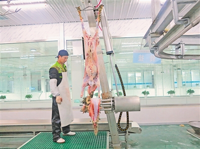 <p>　　　　寧夏福興神農(nóng)食品有限公司的工人在分割灘羊肉。</p>