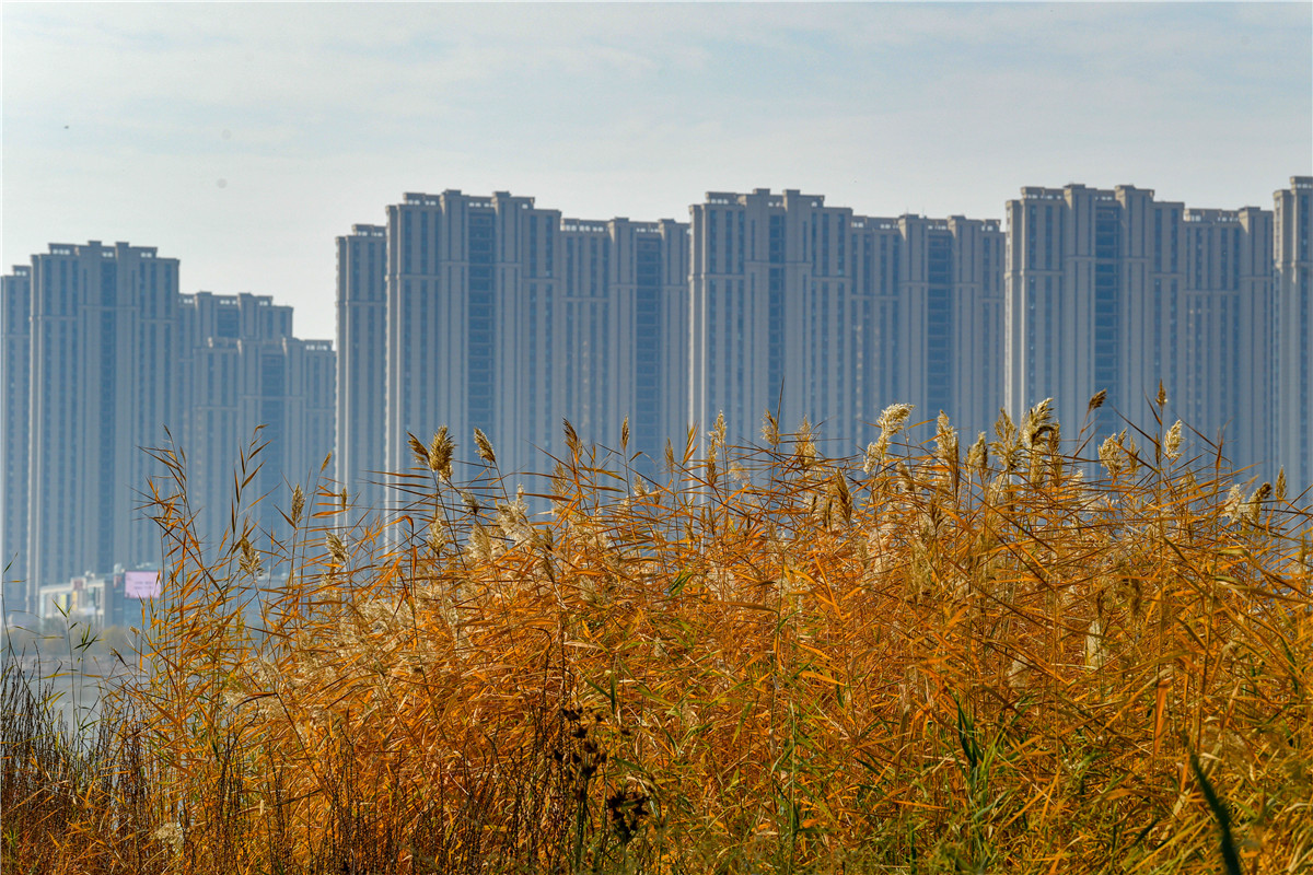 QYT_7650.jpg