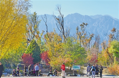 <p>　　空氣質(zhì)量日益改善，周末人們匯聚在賀蘭山下觀景。</p>