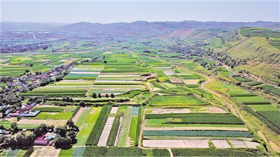 <p>　　火集村蔬菜種植基地。</p>
