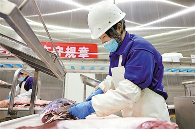 <p>　　海原縣海潤肉類食品有限公司屠宰場，工人在流水線上分割處理牛肉。</p>