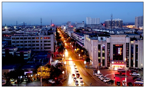 惠農(nóng)夜景--胡炳華、58歲、電話13995322811.jpg