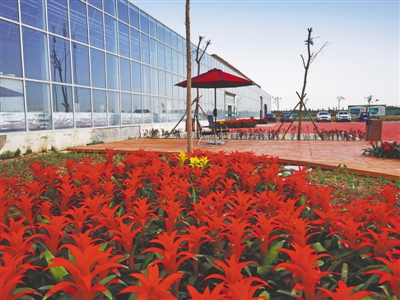 <p>　　　　森沃生態(tài)農(nóng)業(yè)觀光園</p>