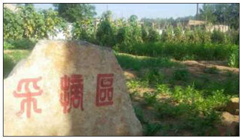 園林人家農(nóng)家樂采摘區(qū).jpg