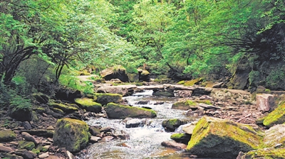 <p>　　　　六盤山國家森林公園（小南川）。</p>