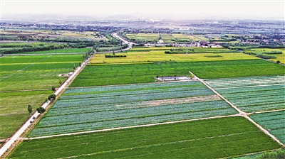 <p>　　原州區(qū)冷涼蔬菜種植面積達24萬多畝。</p>