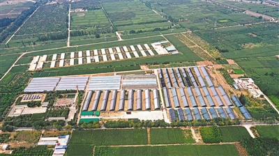 <p>　　新堡鎮(zhèn)“跨村聯(lián)建”。</p>