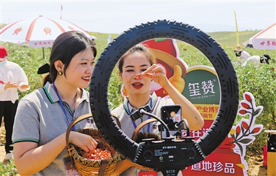 <p>　　中寧入列全國電子商務(wù)進(jìn)農(nóng)村綜合示范縣。</p>