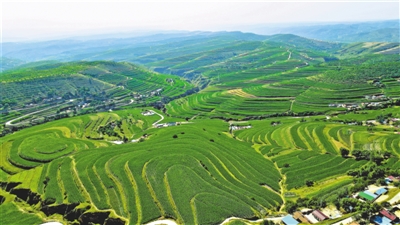 <p>　　彭陽(yáng)縣青云灣流域。</p>