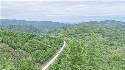 <p>　　涇隆公路沿線景致（資料圖片）。全區(qū)山林權(quán)改革實施以來，林地確權(quán)有了新突破。重點縣區(qū)權(quán)屬無爭議林地確權(quán)率達到98.27%，依申請頒發(fā)林權(quán)類不動產(chǎn)證233本，基本實現(xiàn)“應(yīng)確盡確”。登記頒證有了新模式。鹽池縣將確權(quán)的林地量化為股權(quán)，實現(xiàn)　“分股不分山”“分利不分林”。彭陽縣變單戶發(fā)證為聯(lián)戶發(fā)證，首創(chuàng)《山林地確權(quán)明白書》，破解“一戶多證”的難題。植綠護綠有了新主體。惠農(nóng)區(qū)通過建立林票換能票、能票換鈔票、鈔票換林票的“三票”聯(lián)動機制，引入社會資本5600萬元。林權(quán)融資有了新渠道。靈武市設(shè)立政府回購基金，通過“預(yù)回購+林權(quán)質(zhì)押+擔(dān)保+貸款”的林業(yè)金融服務(wù)模式，為經(jīng)營主體授信擔(dān)保貸款。流轉(zhuǎn)收益上了新臺階。彭陽縣集體林地流轉(zhuǎn)交易價格從2021年的每畝13—20元增長到2022年的每畝37—250元，帶動集體林地經(jīng)營權(quán)流轉(zhuǎn)增值效應(yīng)逐步顯現(xiàn)。</p><p>　　目前，已有5宗山林權(quán)在自治區(qū)公共資源交易平臺完成交易，成交金額169.27萬元，成交面積2504.5畝。本報記者　毛雪皎</p>