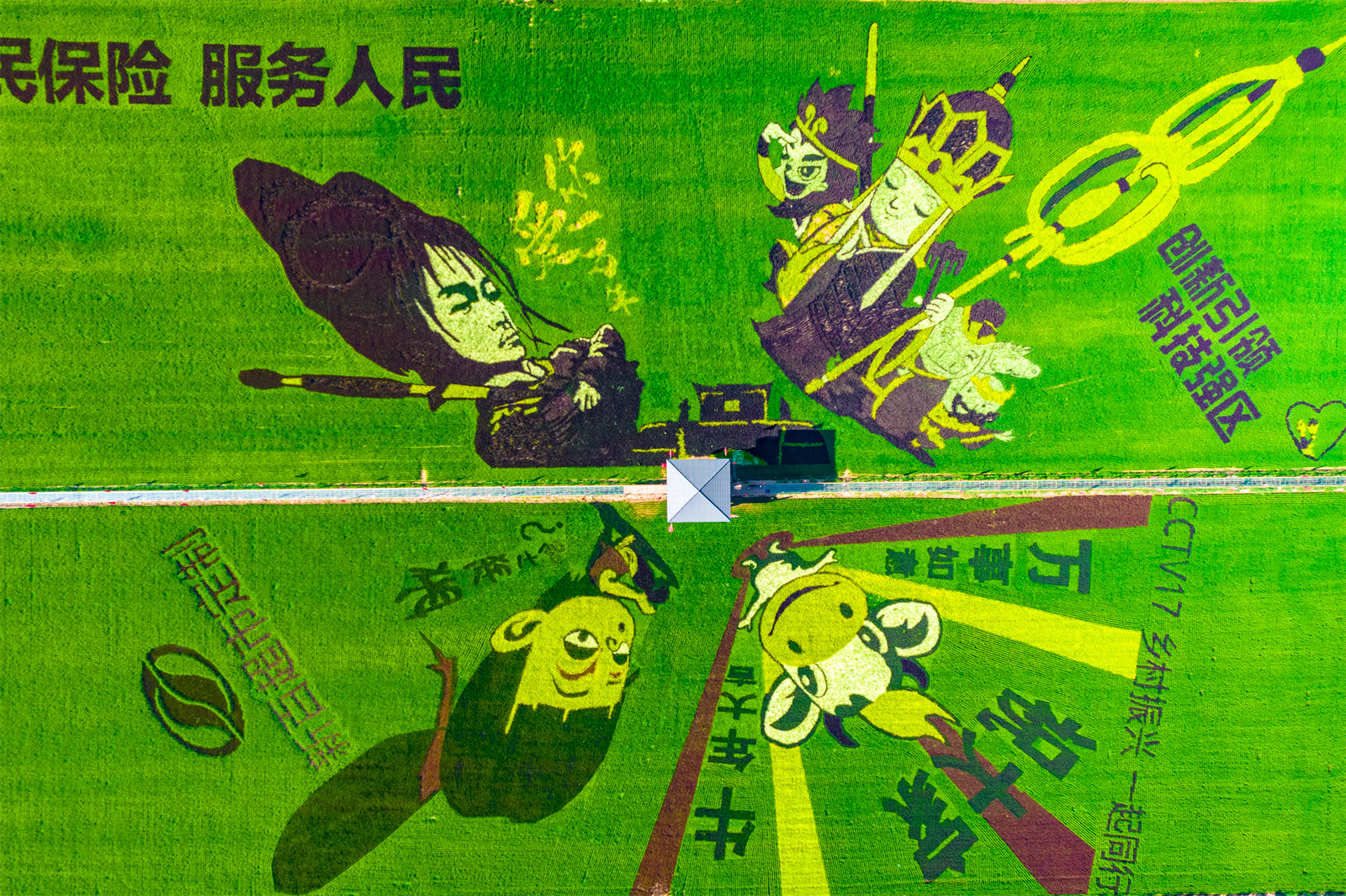 DJI_0579.jpg DJI_0579.jpg