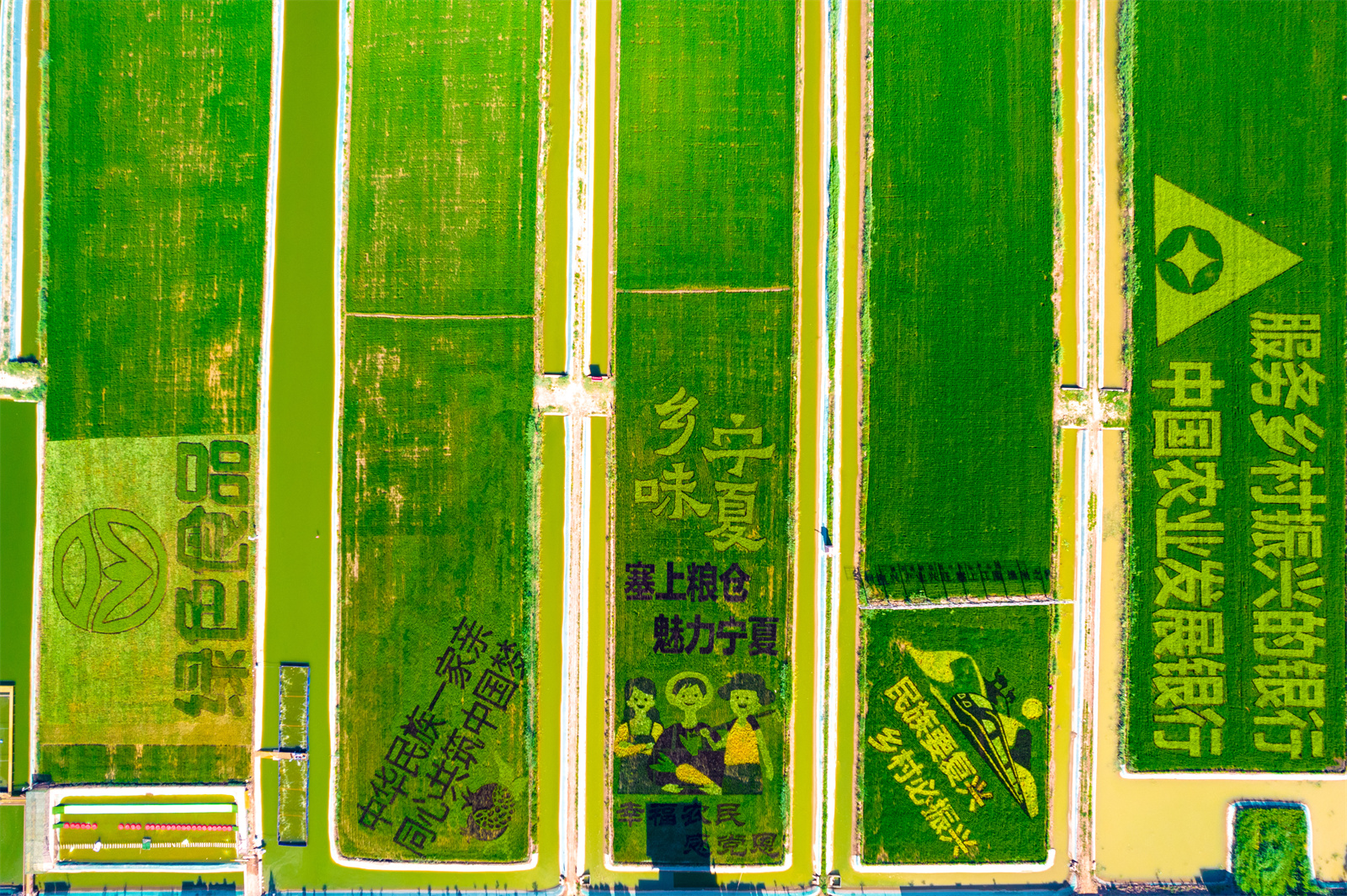 DJI_0600.jpg DJI_0600.jpg