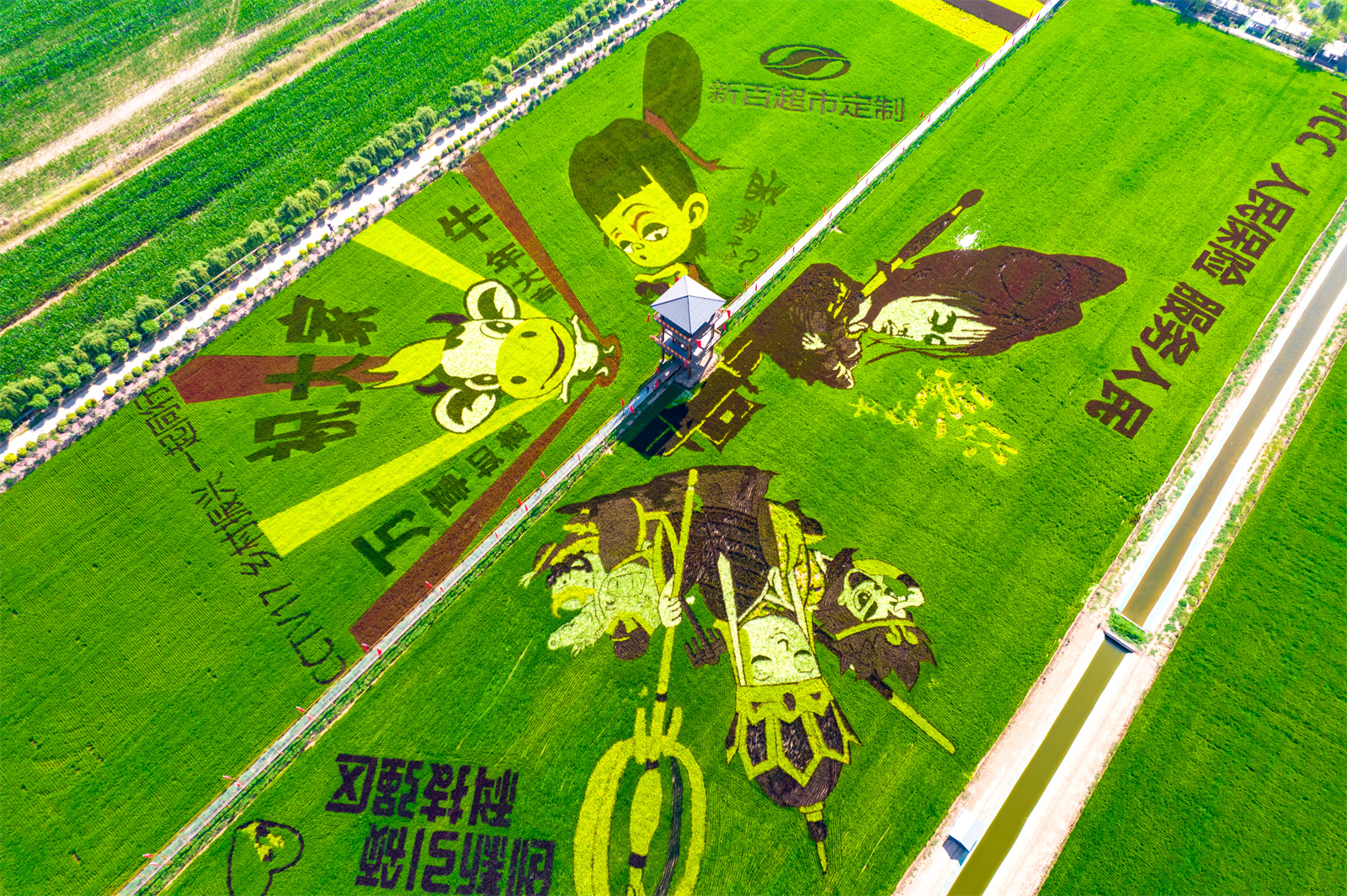 DJI_0607.jpg DJI_0607.jpg