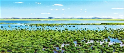 四川省阿壩州若爾蓋花湖濕地國(guó)家級(jí)自然保護(hù)區(qū)。<br/>　　（若爾蓋攝影家協(xié)會(huì)供圖）