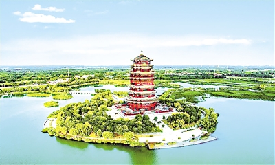 山東省濱州市濱城區(qū)蒲湖公園。大眾日?qǐng)?bào)記者 程芃芃 攝